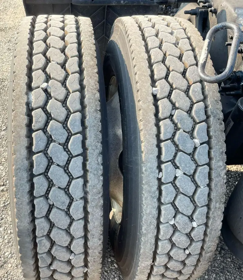 2019 Freightliner Cascadia 126 photo 93